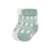Pack of 2 pairs of baby socks in SSocks green