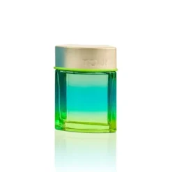 TOUS Man Chill Eau de Toilette 100 ml